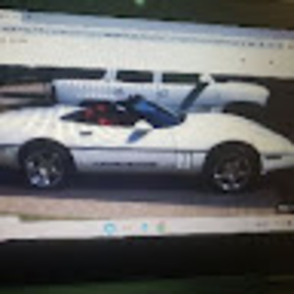 Meet your Posher, Cash - Picture 1 of 1